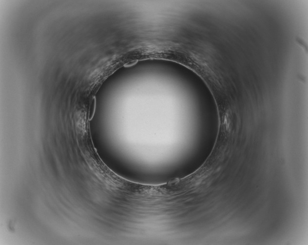 X0000102821348200808181237