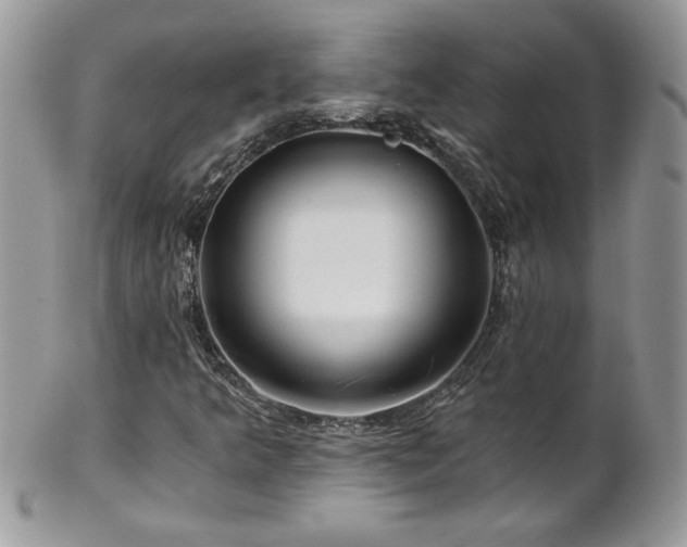 X0000102821349200808181237