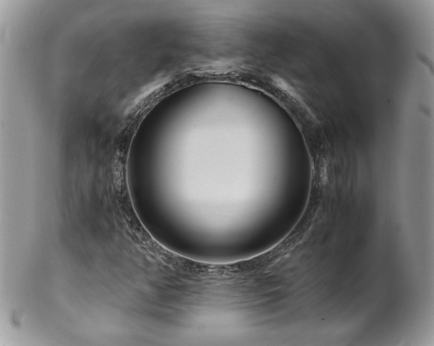 X0000102821350200808181237