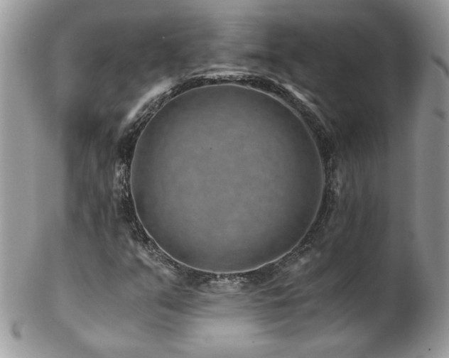 X0000102821351200808181237