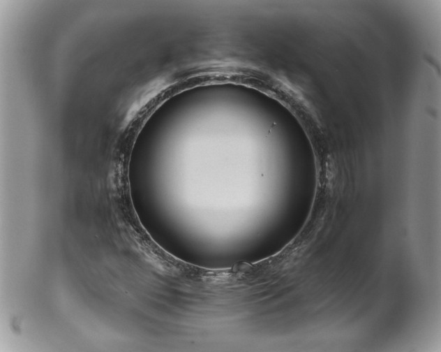 X0000102821352200808181237