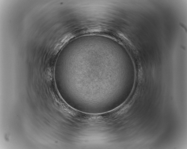 X0000102821353200808181237