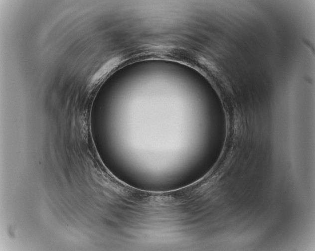 X0000102821354200808181237