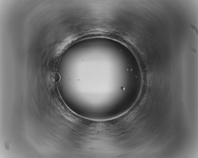 X0000102821355200808181236