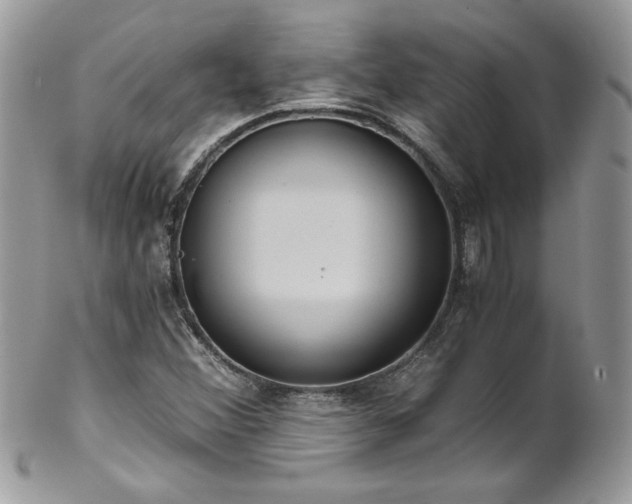 X0000102821356200808181236