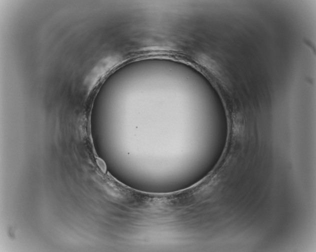 X0000102821357200808181236