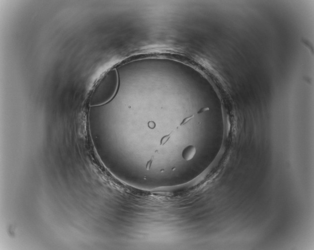 X0000102821358200808181236