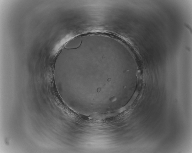 X0000102821359200808181236