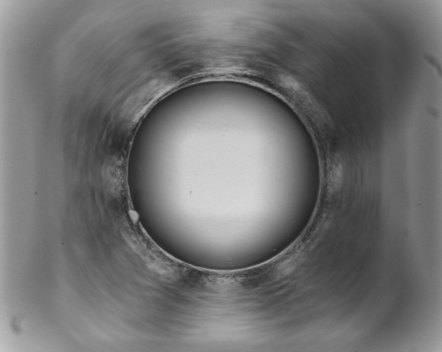 X0000102821361200808181236