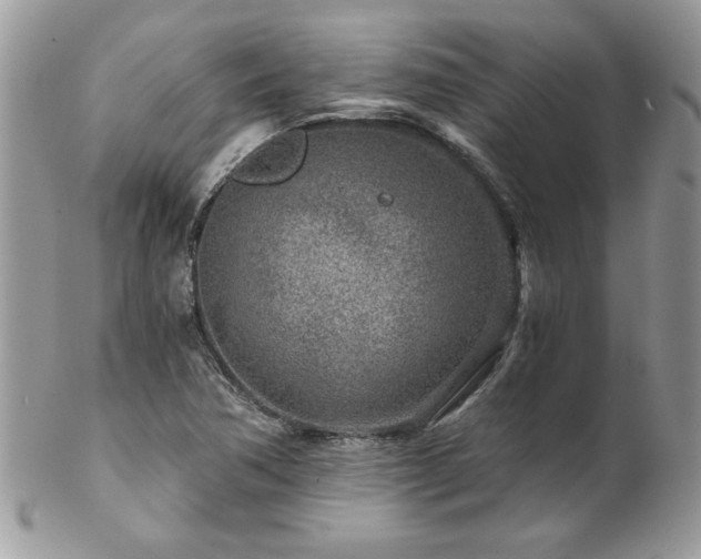 X0000102821362200808181236