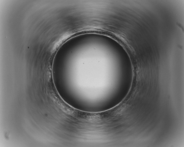 X0000102821363200808181236