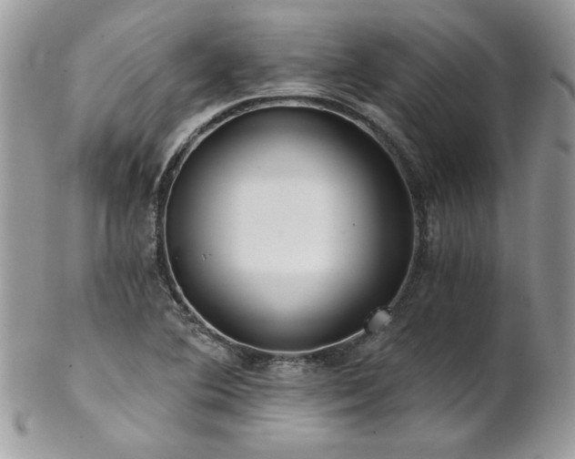 X0000102821364200808181236