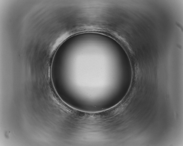 X0000102821365200808181236
