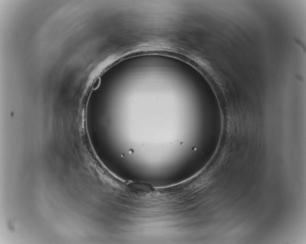 X0000102821366200808181236