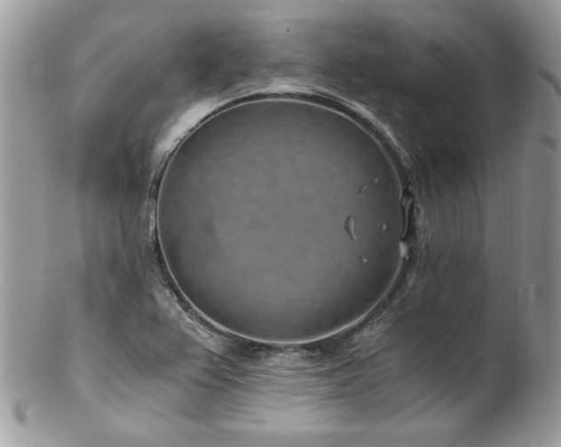 X0000102821367200808181236