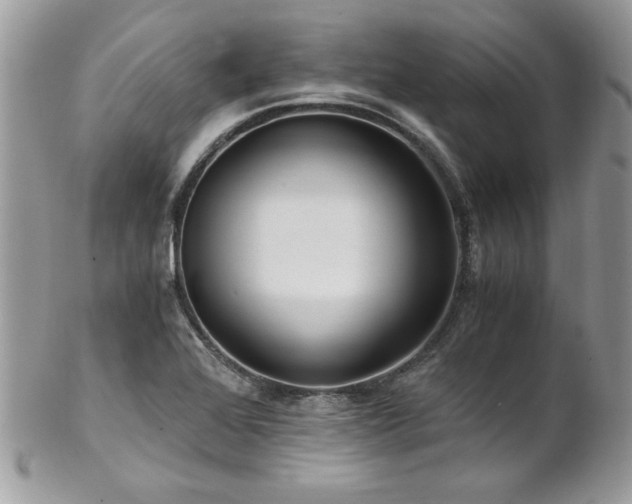 X0000102821368200808181236