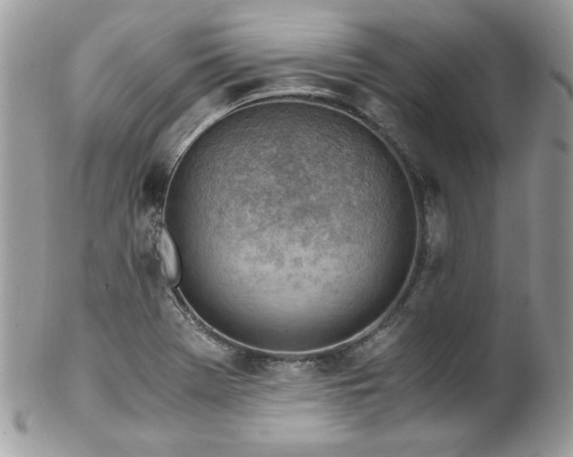 X0000102821369200808181236