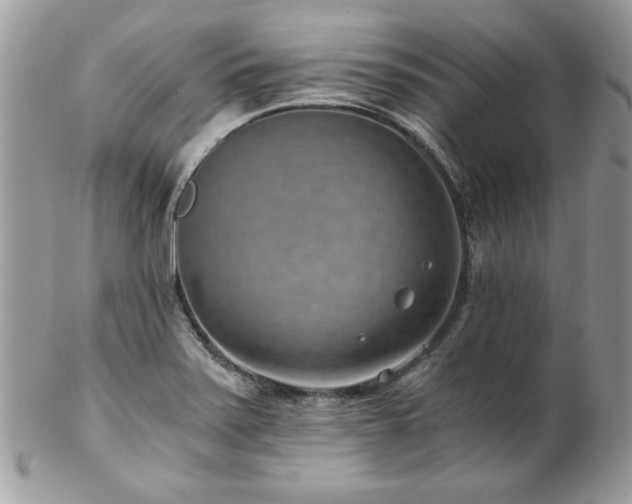 X0000102821371200808181236
