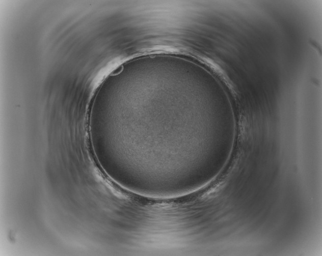 X0000102821373200808181236