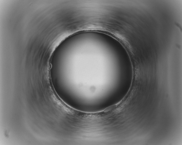 X0000102821374200808181236