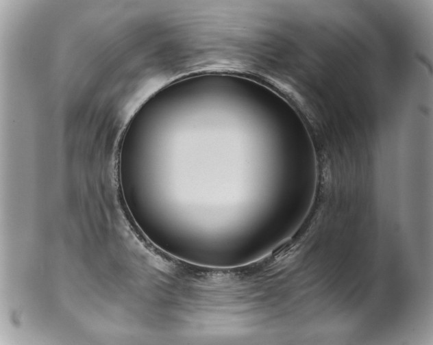 X0000102821375200808181236