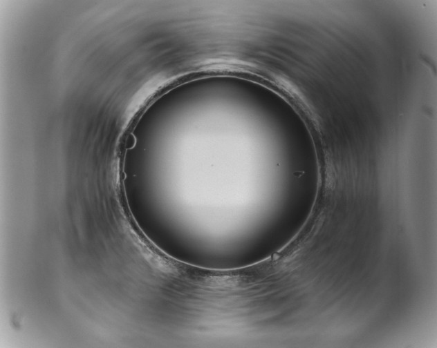 X0000102821376200808181236