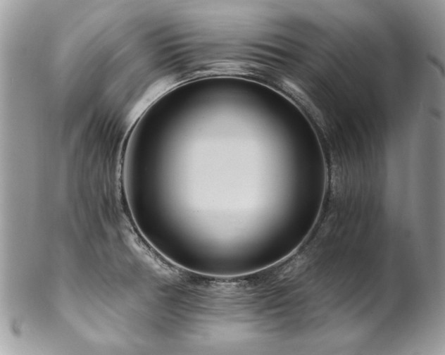 X0000102821378200808181236