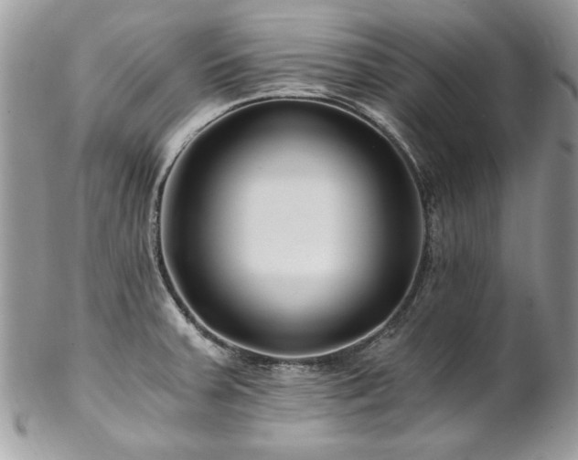 X0000102821379200808181236