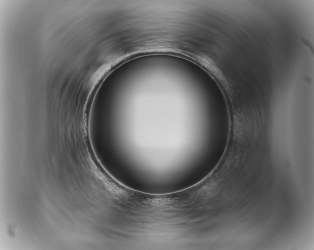 X0000102821380200808181236