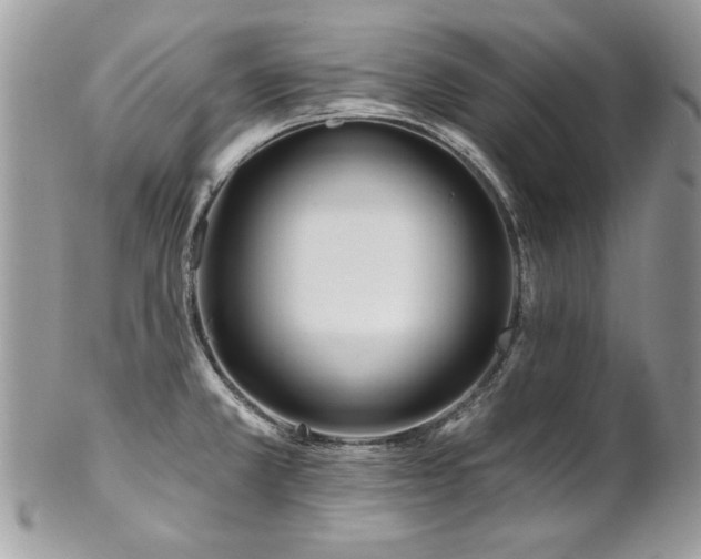 X0000102821381200808181236