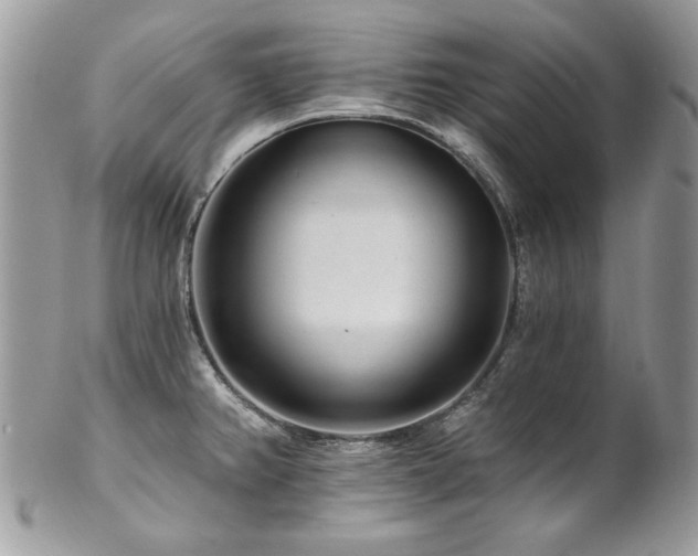 X0000102821382200808181236