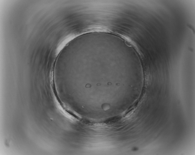 X0000102821383200808181236