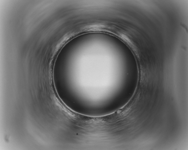 X0000102821384200808181236