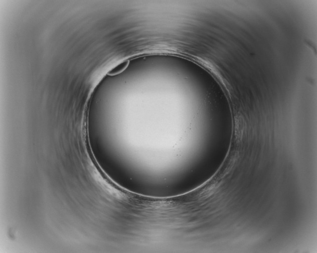 X0000102821387200808181236