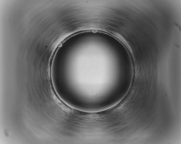 X0000102821388200808181236