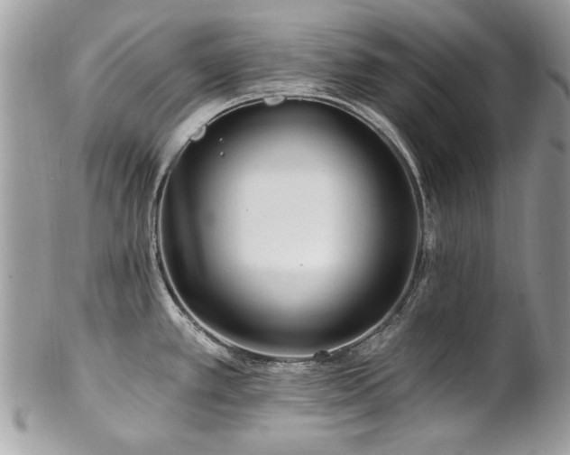 X0000102821389200808181236