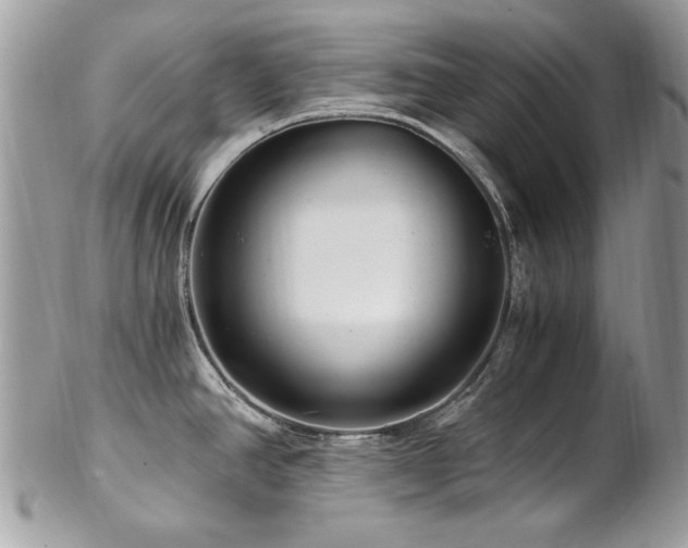 X0000102821390200808181236