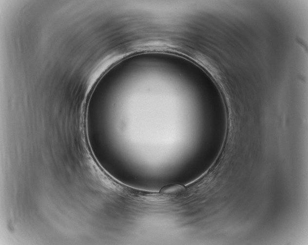X0000102821392200808181236