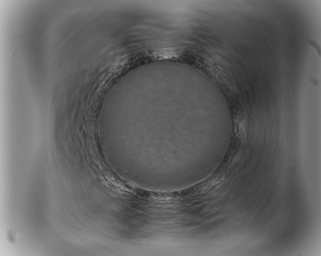 X0000102821393200808181235