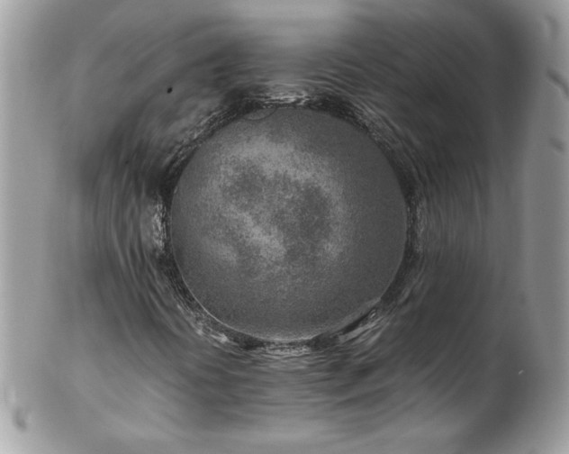 X0000102821394200808181235