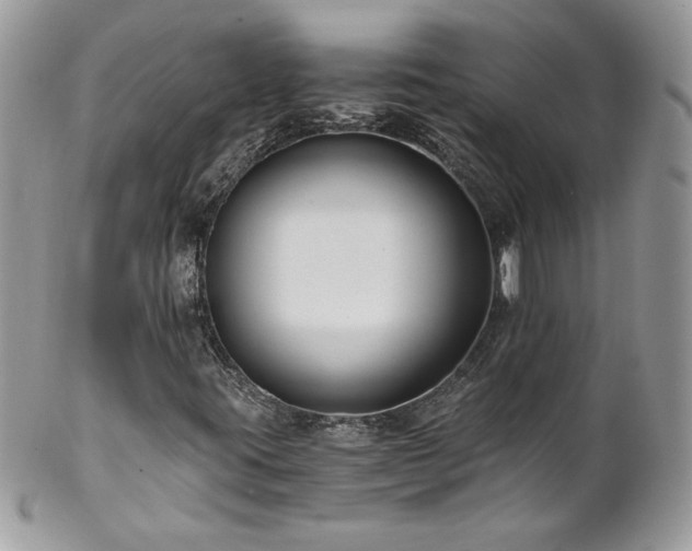 X0000102821395200808181235