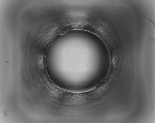 X0000102821396200808181235