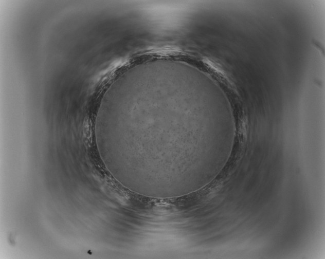 X0000102821398200808181235