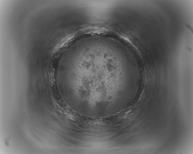 X0000102821399200808181235