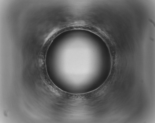X0000102821400200808181235