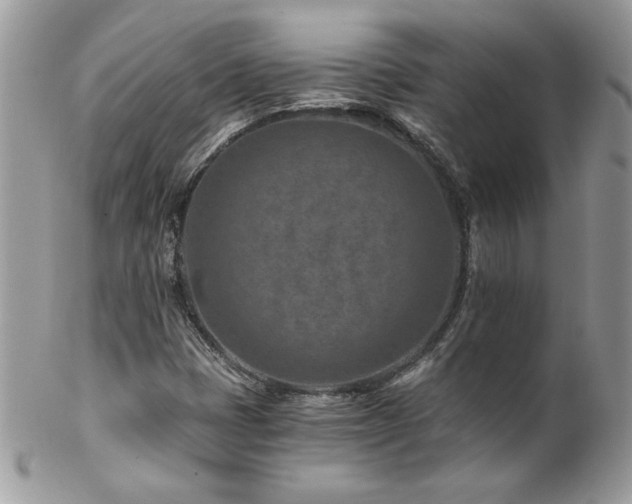 X0000102821401200808181235