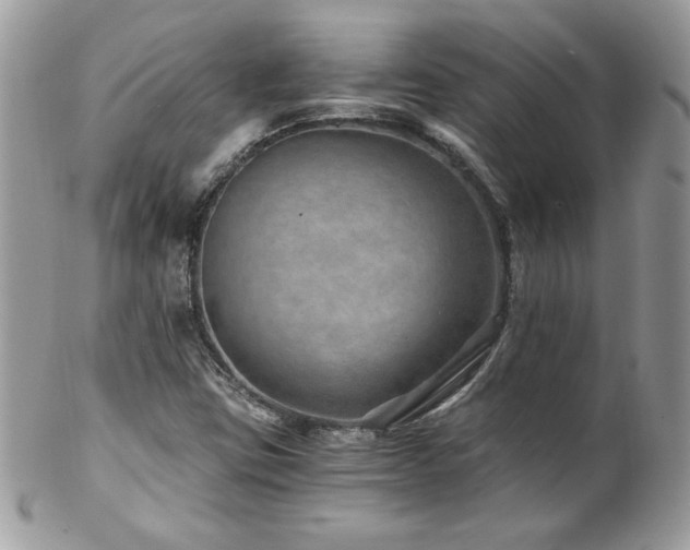 X0000102821403200808181235