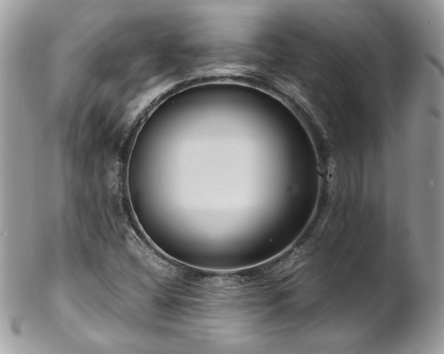X0000102821404200808181235