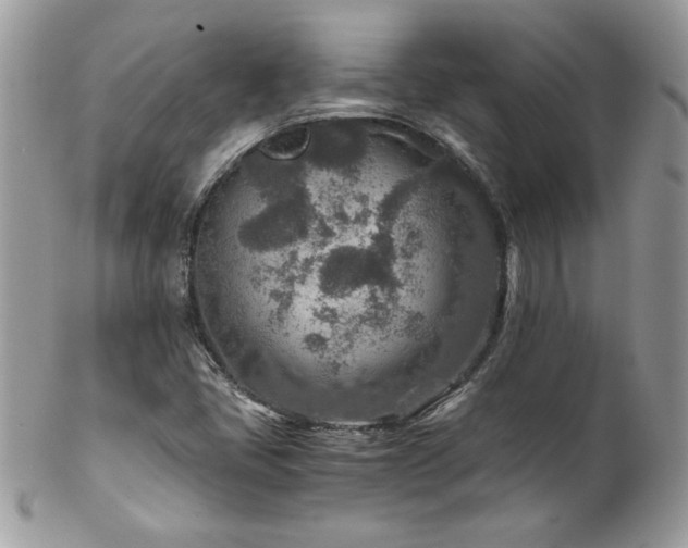 X0000102821405200808181235