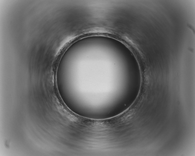 X0000102821408200808181235